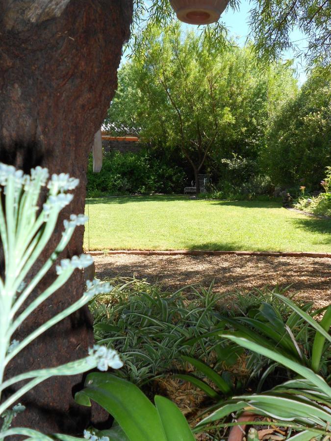 Pane Vivente Garden Cottage Beaufort West Kültér fotó